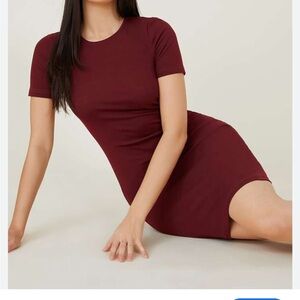 Aritzia Sunday Best Miller Dress